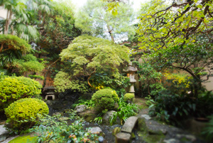 Ozashiki - Tatami Mat Rooms